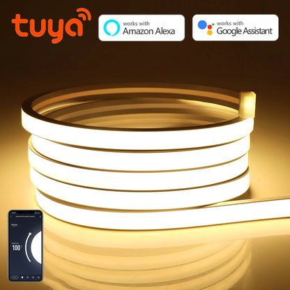 WiFi LED Neon Strip Light