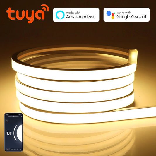 WiFi LED Neon Strip Light