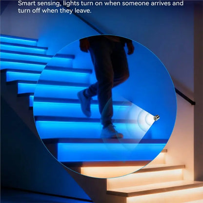AA76 ZigBee LED Stairway Controller Kit