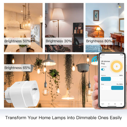 Tuya WiFi Dimming Plug Multi-function