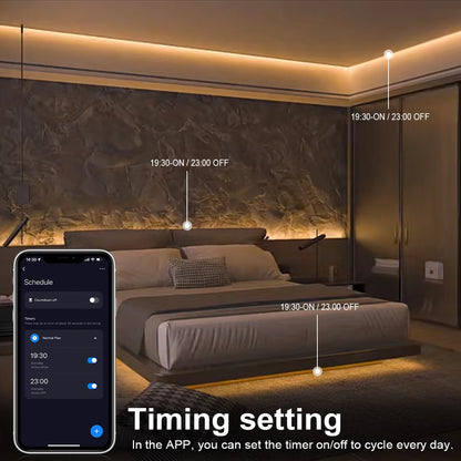 WiFi LED Neon Strip Light