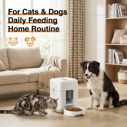 2L WiFi Smart Pet Feeder Automatic Cats and Dogs Food Dispenser Remote App Control Regular Feeding for Pets Cat Accessrioes