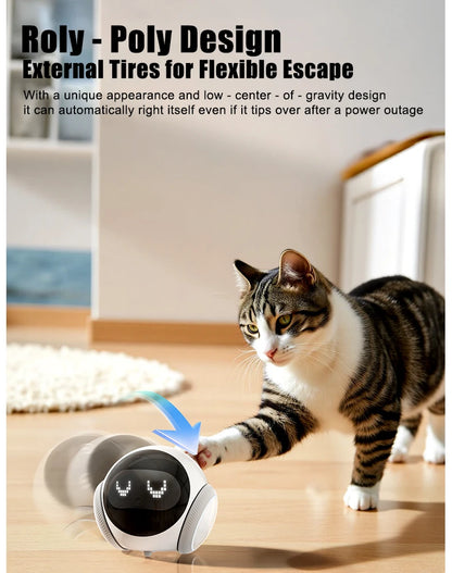 Famue S1 Home Monitoring Robot | APP Control & Two-Way Talk | Care for Elderly/Child & Pet | Photo/Video & Playback UP to 512G