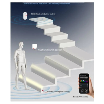 A10R ZigBee Stairway Controller Kit 12V-24V
