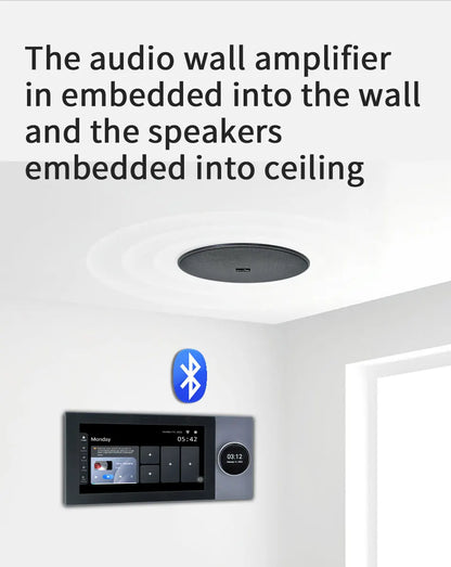 Tuya Wall Sound Amplifier Theater