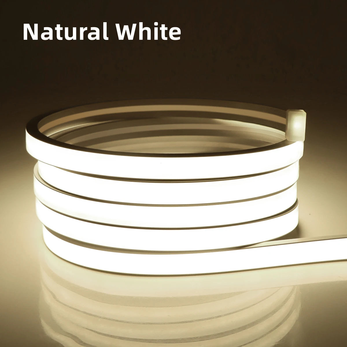 WiFi LED Neon Strip Light