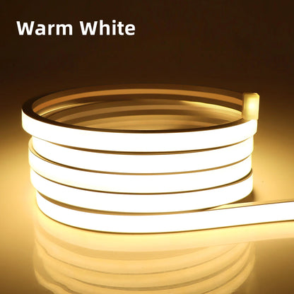 WiFi LED Neon Strip Light