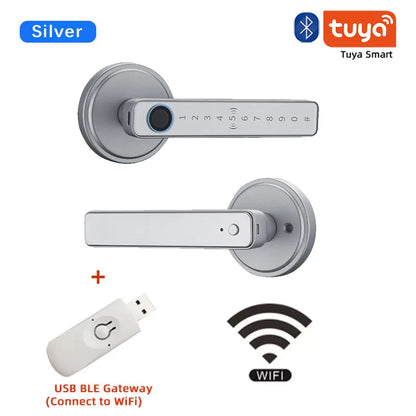 Fingerprint Key Card Door Lock